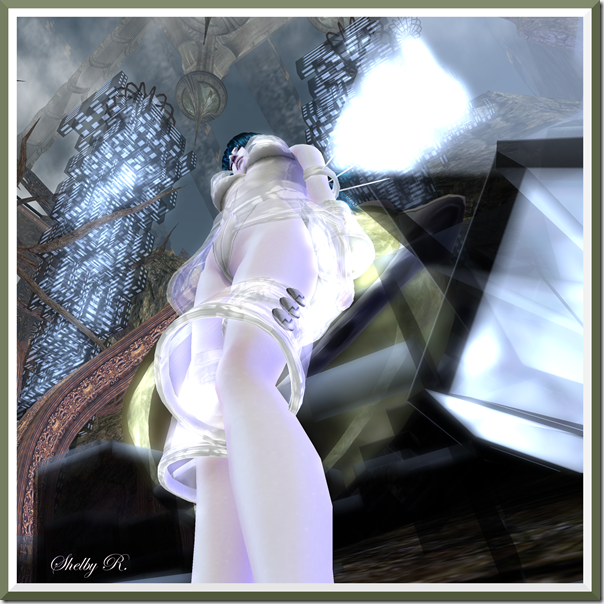 BareRose15_001b BareRose15_001b