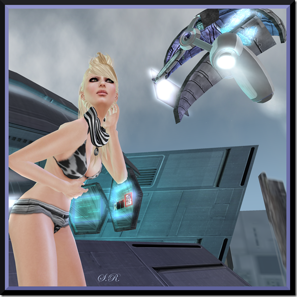Linc18_001b Linc18_001b
