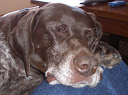 Copy%20of%202004-01-24%20040.JPG