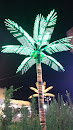 Shining Palm Tree