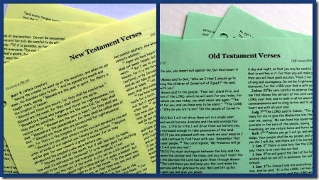 Old, New Testament verses