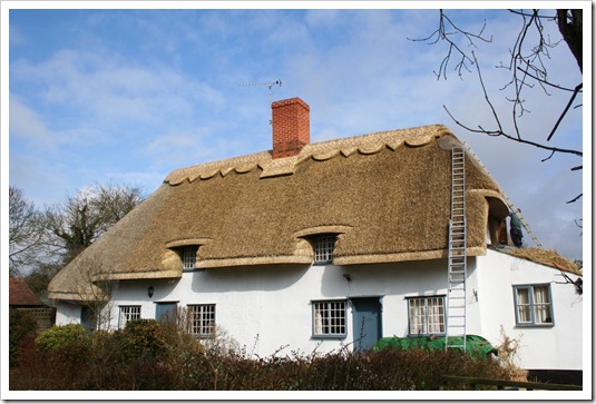 thatch house