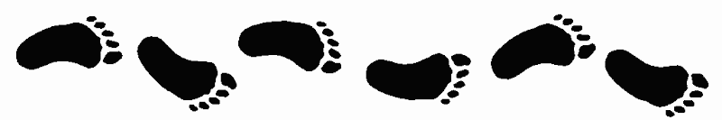footprints%5B1%5D