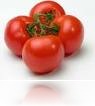 tomato's