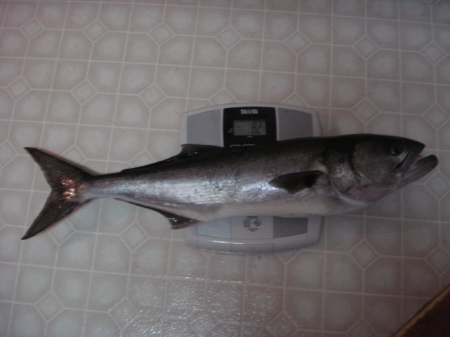 [DSC030225.jpg]