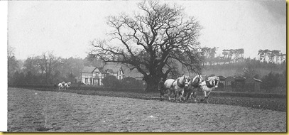 History Group Images. CD4 001