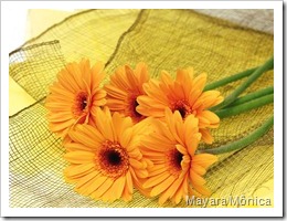 romanticflowersetting29zl7