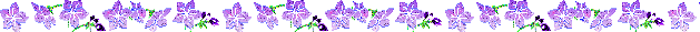 Purpleflowerglitterdivider