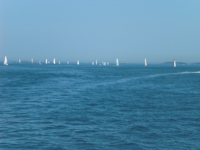 [zeilregatta[3].jpg]