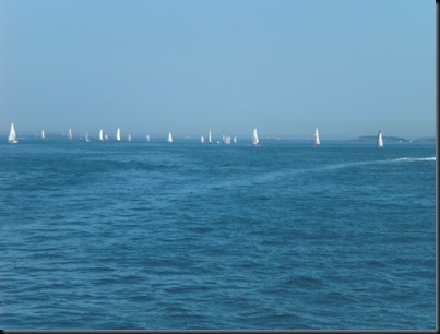 zeilregatta