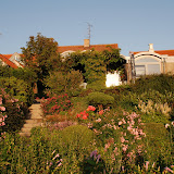 DSC_1269.JPG