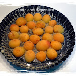 clafoutis aux abricots (2).JPG