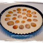 clafoutis aux abricots (3).JPG