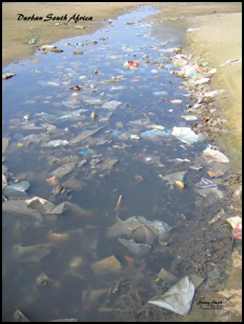 storm water outlet  Snowy Smith picture Death of Durban blogspot com