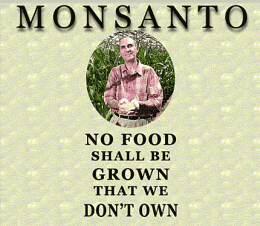 [MonsantoNoFoodShallBeGrownThatWeDontOwnPoster[2].png]