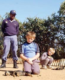 [Two SA kids mourn poisoned dogs VdBijlParkApr182009[5].jpg]