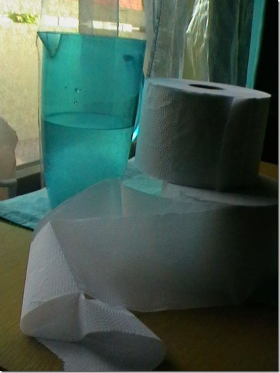 Eco toilet paper test June 2009 DayTwo