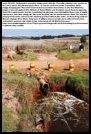 Acid Mine Drainage from West Rand Mines Uncontrolled decant into Tweelopies spruit