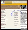 Blackwash Andile Mngcitama BLACKS IN BONDAGE lie in CityPressApr112010_paid_policyadvisor_EUfunded_FHR