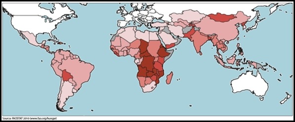 FAO HUNGER MAP IGNORES GROWING FAMINE IN SOUTH AFRICA
