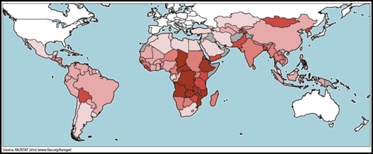 FAO HUNGER MAP IGNORES GROWING FAMINE IN SOUTH AFRICA
