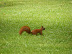 dscf0277.jpg