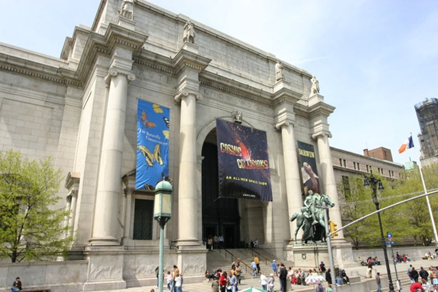 [AMNH[2].jpg]