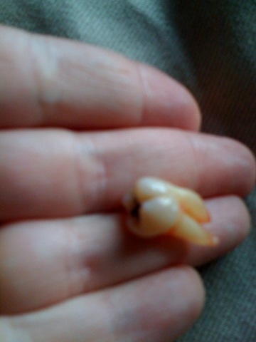 photo(4)