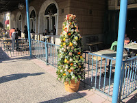 IMG_3324.JPG Photo