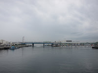IMG_3479.jpg Photo