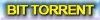 [DownloadBitTorrentFile...2.jpg]