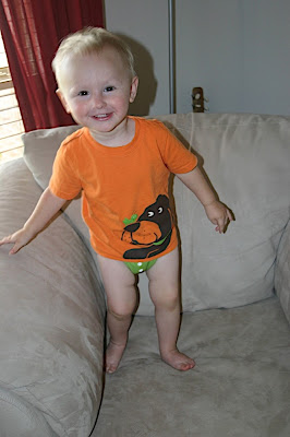 cloth diaper