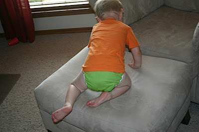 cloth diaper />
