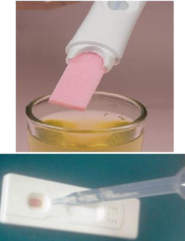 [test-ovulacion muestras[4].jpg]