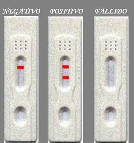[test ovulacion resultados posibles 2[4].jpg]