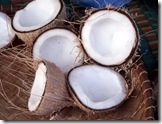 cocos