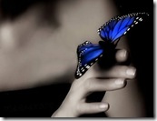 efecto-mariposa-3