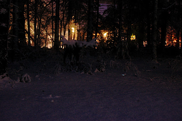 DSC_5872.JPG