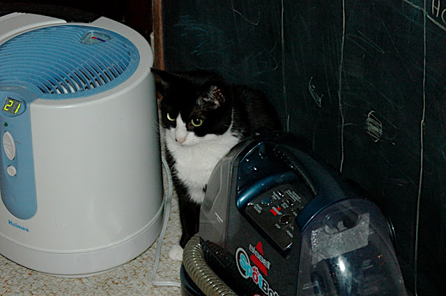 DSC_6248.JPG