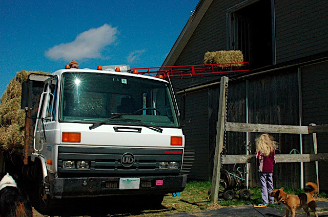 DSC_6217.JPG