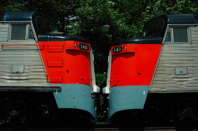 DSC_6513.JPG