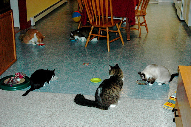 DSC_6751.JPG