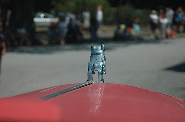 DSC_7050.JPG
