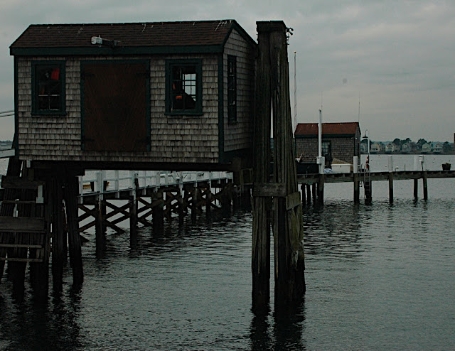 DSC_8379.JPG