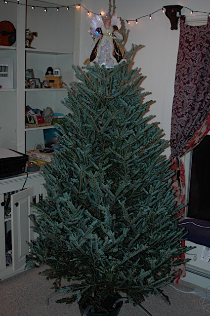 DSC_8270.JPG