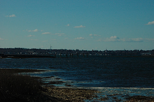 DSC_8262.JPG