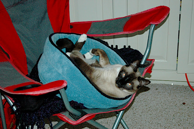 DSC_8394.JPG
