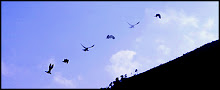 http://lh6.ggpht.com/_ZNNUGVsXoJ0/S9lDawkdnLI/AAAAAAAAANs/7DgG2ic7y44/s220/good_by_petitoiseau1.jpg