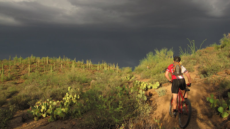 IMAGE: http://lh6.ggpht.com/_ZNdA0k8XDu4/SqXmaXej9uI/AAAAAAAACeY/EQ4rOpgVEag/s800/IMG_2906.jpg