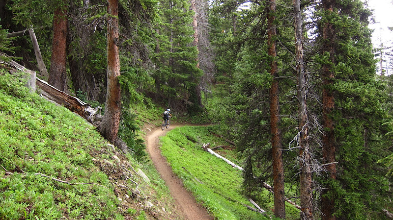 IMAGE: http://lh6.ggpht.com/_ZNdA0k8XDu4/TE8AwAeyQ1I/AAAAAAAAEAw/JheCuJM_AFI/s800/IMG_2895.jpg